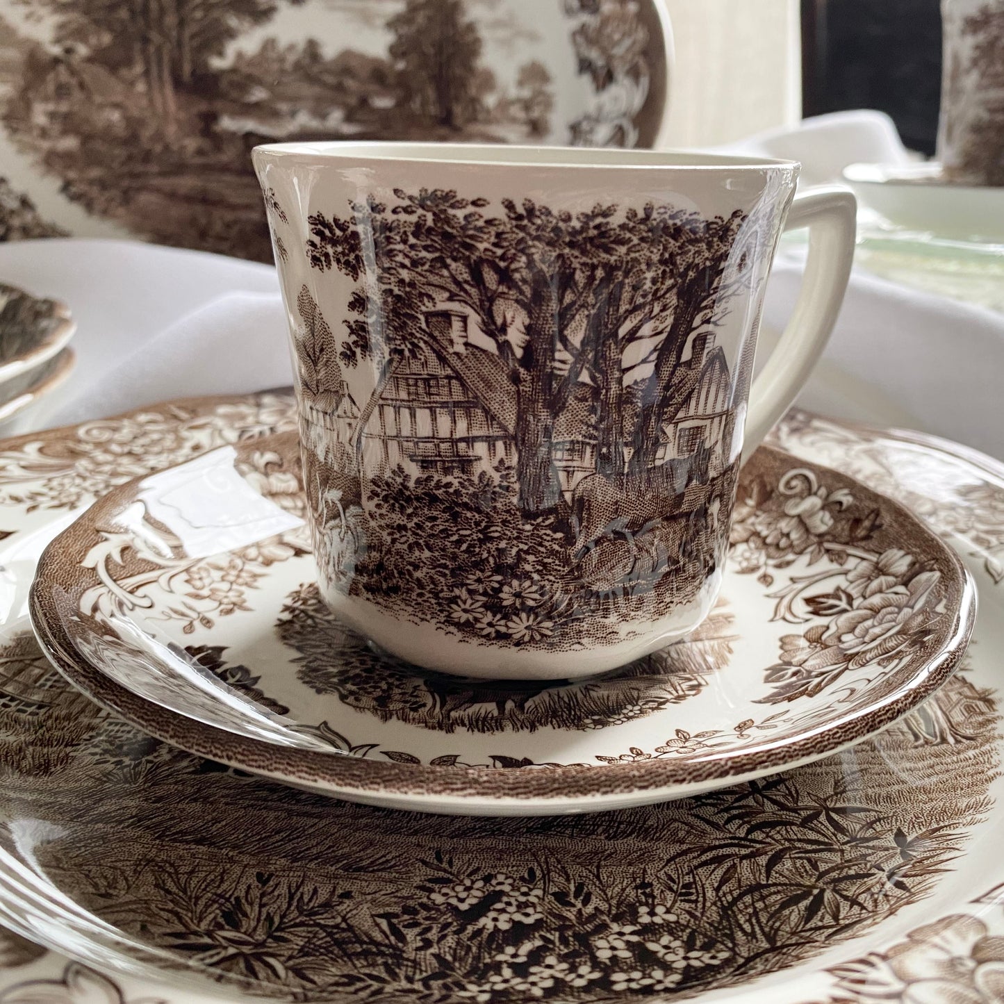 Romantic England Ironstone Dishes by J&G Meakin / Royal Staffordshire