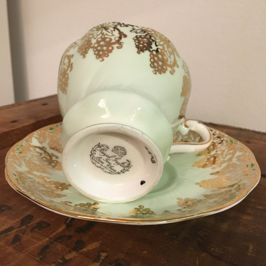 Royal Grafton Teacup & Saucer