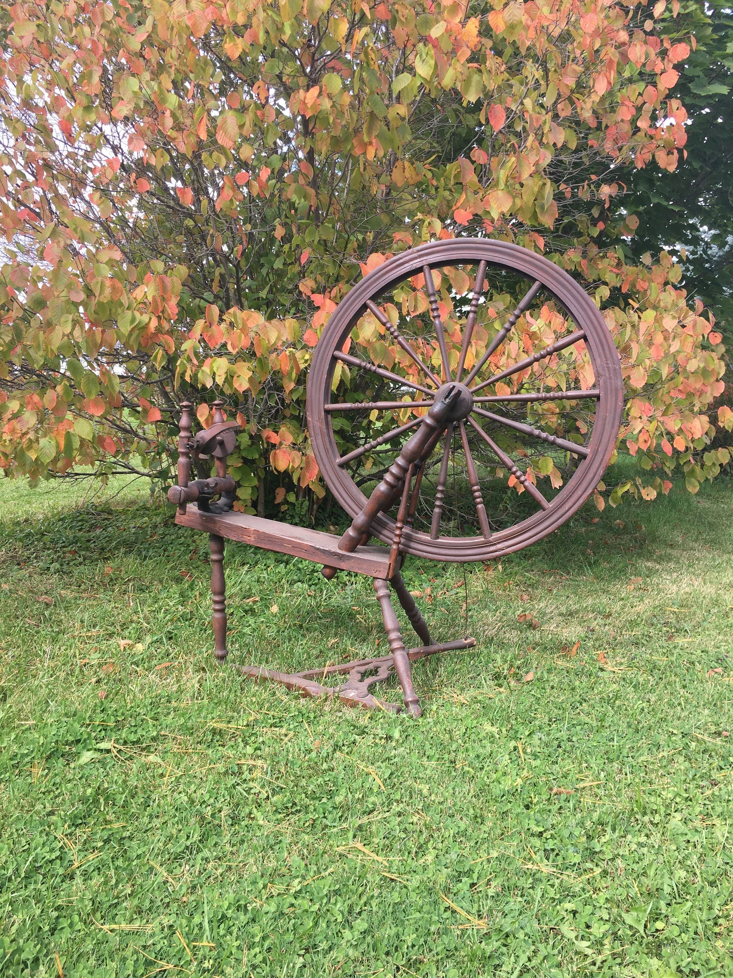 Autumn Collection