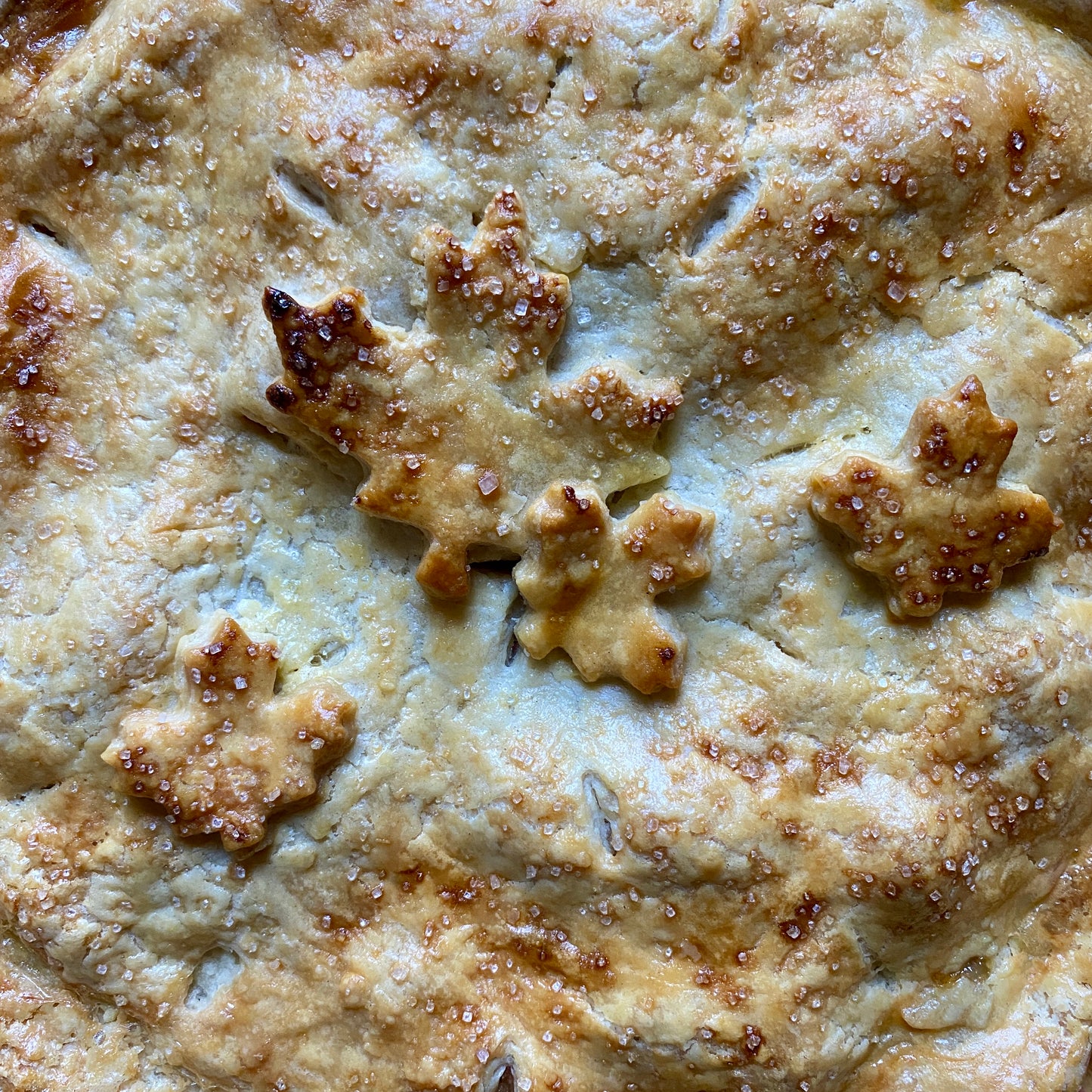 Double Crust Apple Pie, 9"