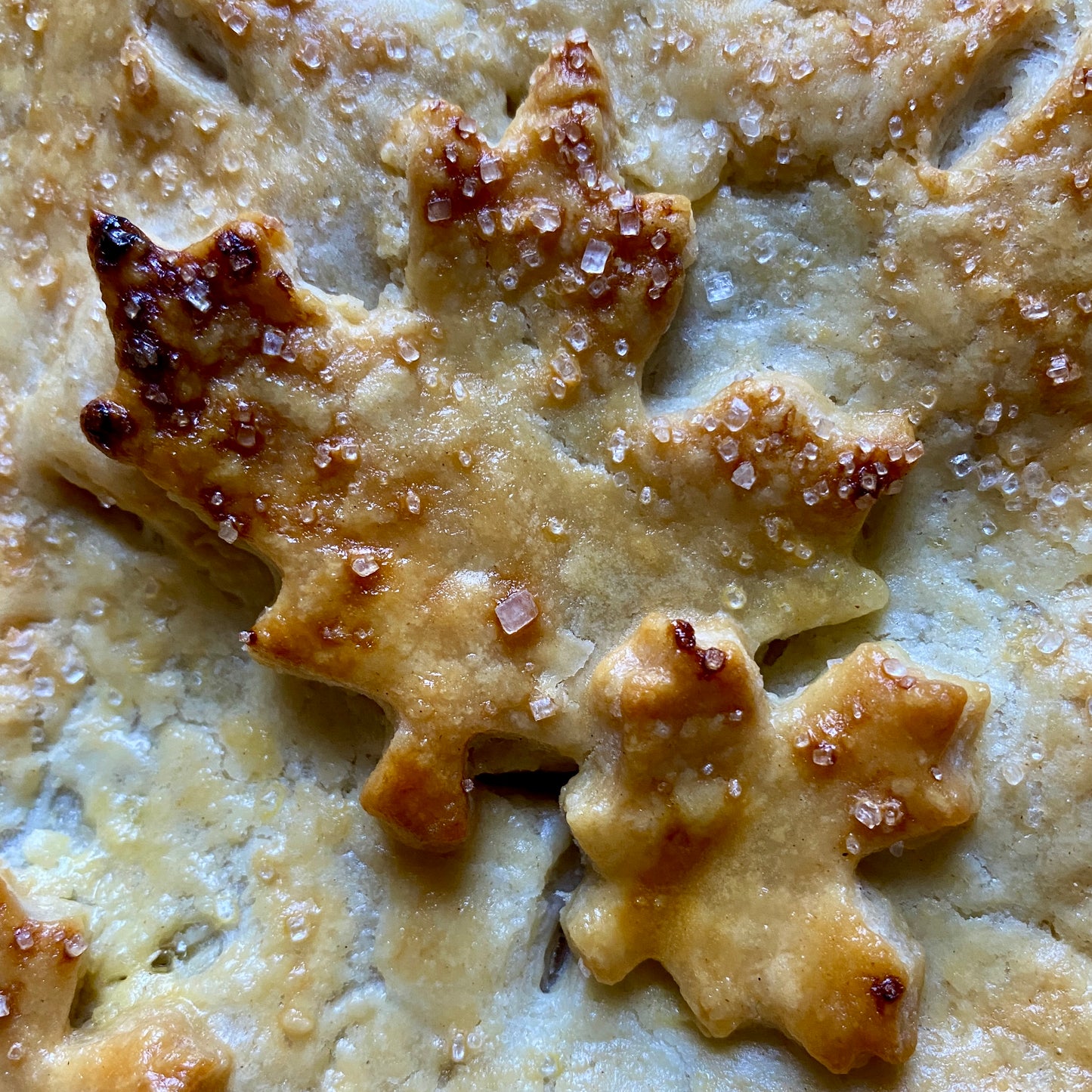 Double Crust Apple Pie, 9"