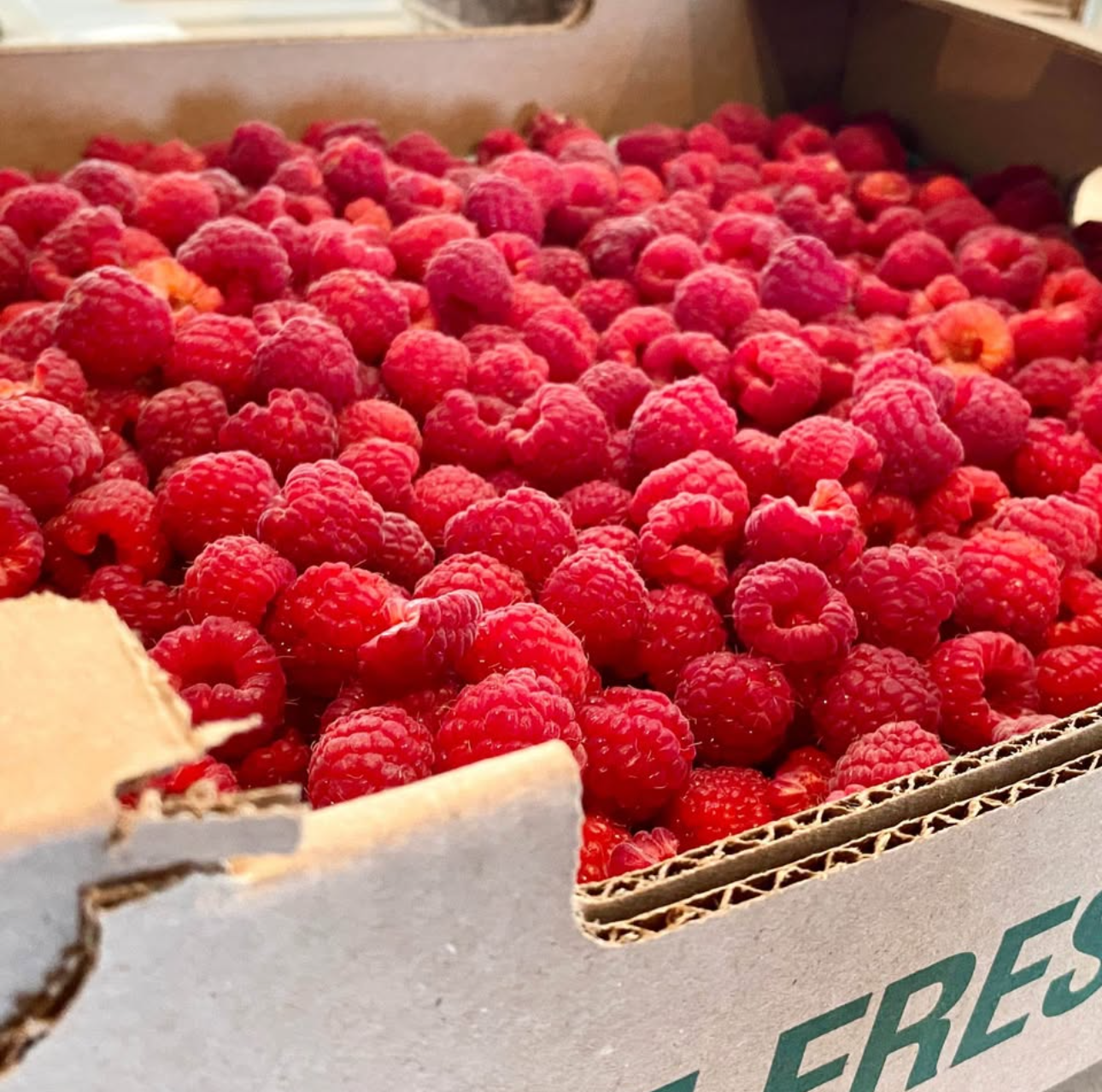 Raspberry Jam