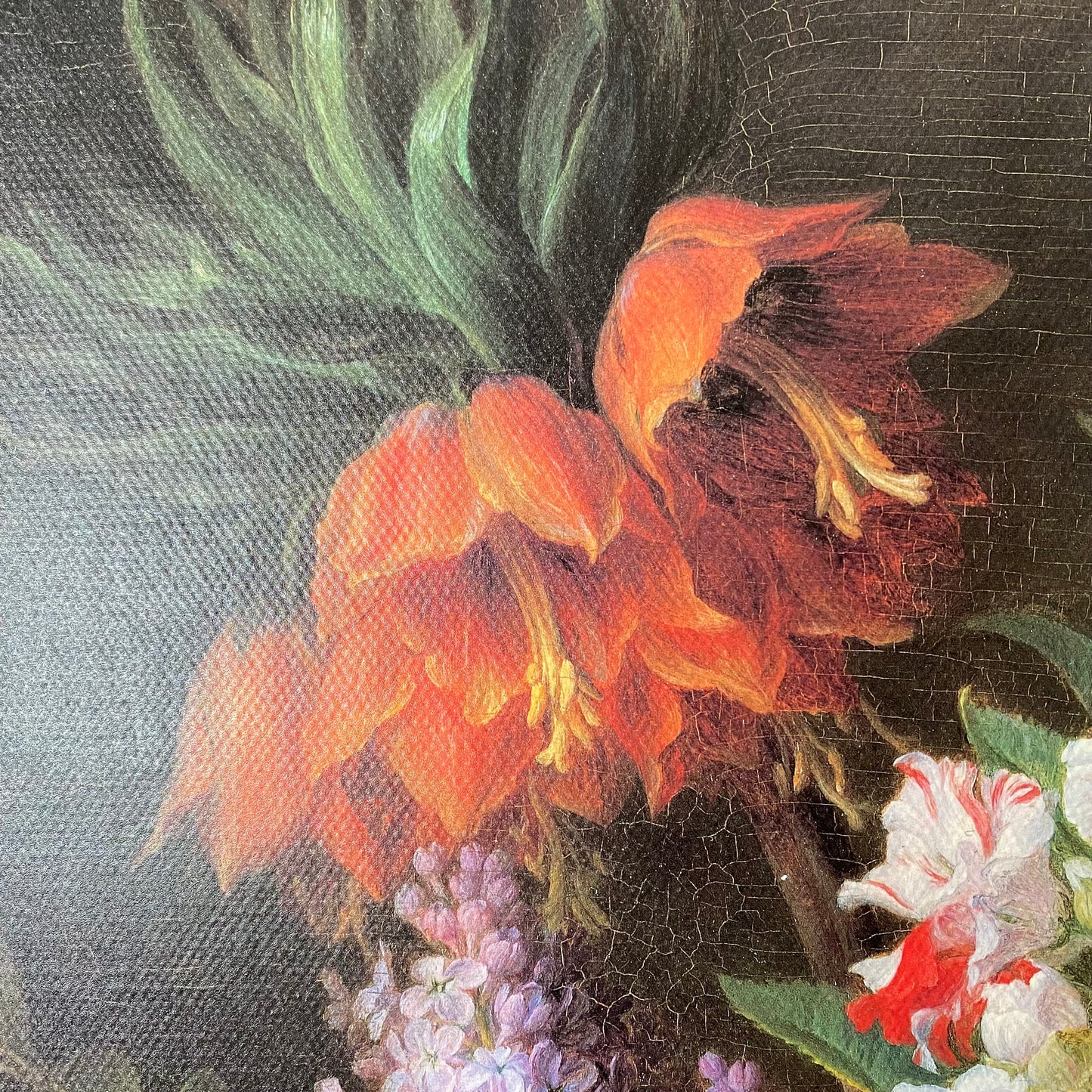 Pair of Framed Still Life Lithographs