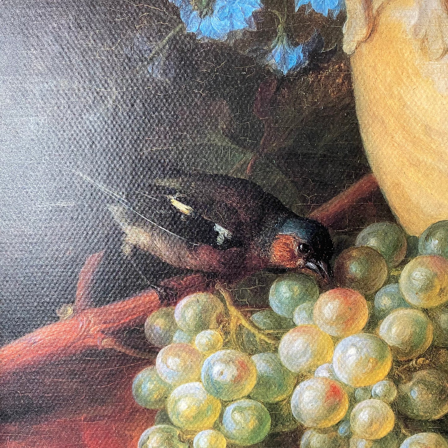 Pair of Framed Still Life Lithographs